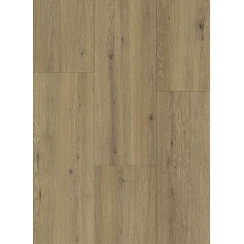 Gelasta Maestro 80631 Disentis Oak Gelasta Maestro 80631 Disentis Oak