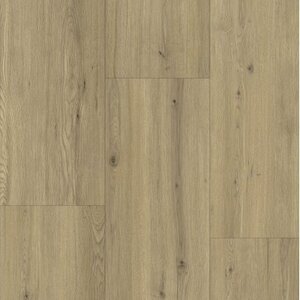Gelasta Maestro 80651 Gelasta Maestro 80651