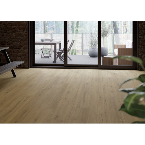 Gelasta Maestro 80651 Tasmins Oak Gelasta Maestro 80651 Tasmins Oak