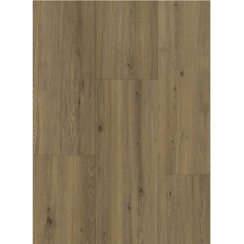 Gelasta Maestro 80661 Realp Oak Gelasta Maestro 80661 Realp Oak