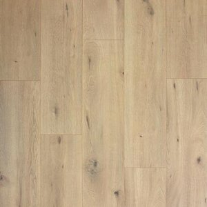 Gelasta Noblesse 4660 Gelasta Noblesse 4660