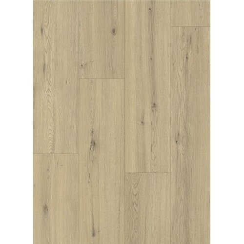 Gelasta Momento 80641 Chur Oak