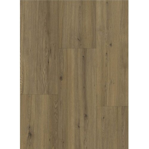 Gelasta Momento 80661 Realp Oak