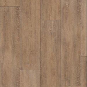 Gelasta Mammoet 4983 Gelasta Mammoet 4983