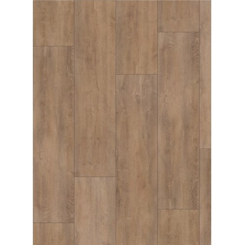 Gelasta Mammoet 4983 oriental Oak Nature
