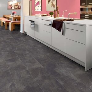 Gelasta Tayra 3079 Gelasta Tayra 3079