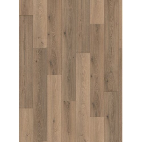 Gelasta Panthera 1059 Tokio Oak