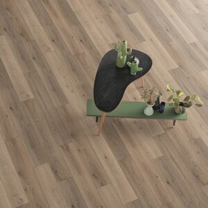 Gelasta Panthera 1059 Gelasta Panthera 1059