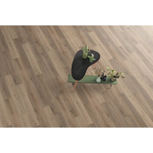 Gelasta Panthera 1059 Tokio Oak