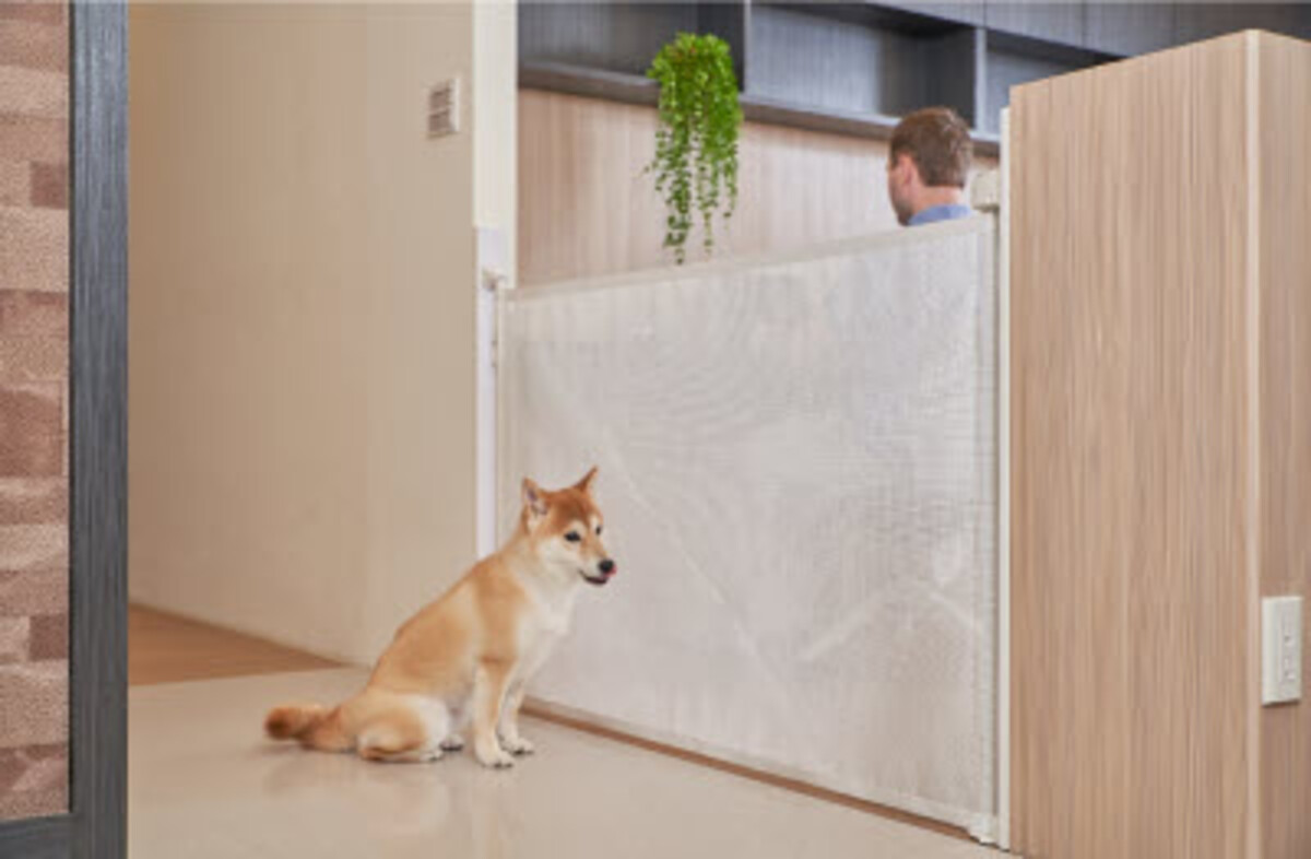 Relaxdays traphekje oprolbaar, verstelbaar 70-180 cm, zonder drempel, met boren, kinderen & honden, wit