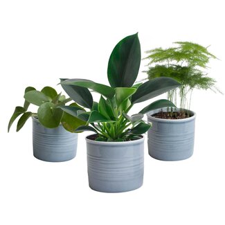 Trio ‘Klein Groen’ in Laos keramiek (blauw)