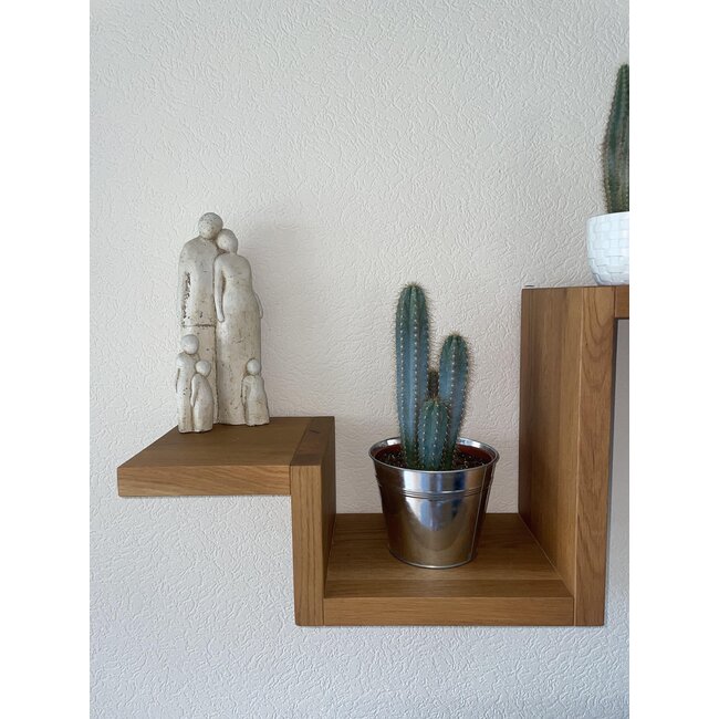 Cactus- Pilosocereus Azerues - ↕30-40cm - Zinc - Ø18 cm