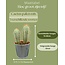 Cactus Palen Mix - ↕15-20cm (3 Stuks) - Zinc - Ø9.5 cm