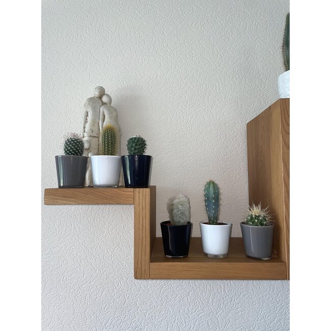 Cactus Mix - ↕8-15cm (6 Stuks) - Modern Glasses - Ø7.5 cm