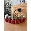 Cactus Mix - ↕8-15cm (6 Stuks) - Red Glasses - Ø7.5 cm