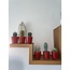 Cactus Mix - ↕8-15cm (6 Stuks) - Red Glasses - Ø7.5 cm