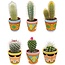 Cactus Mix - ↕8-15cm (6 Stuks) - Picaso - Ø7.5 cm