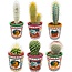 Cactus Mix - ↕8-15cm (6 Stuks) - Mexico - Ø7.5 cm