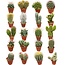 Cactus Mix 20 Verschillende Soorten- 5.5cm Potten- ↕6-12cm (20 Stuks)