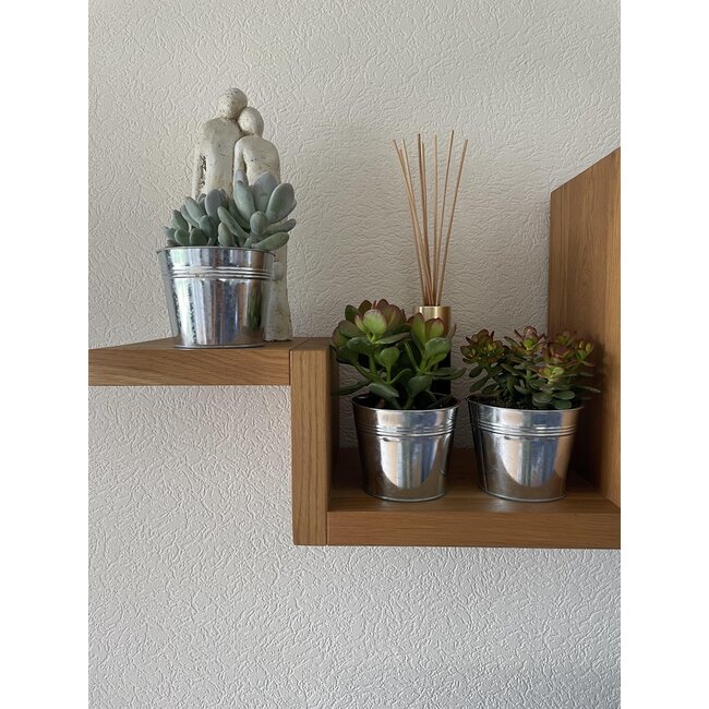 Succulenten Mix - ↕16-22cm (3 Stuks) - Zinc - Ø13 cm