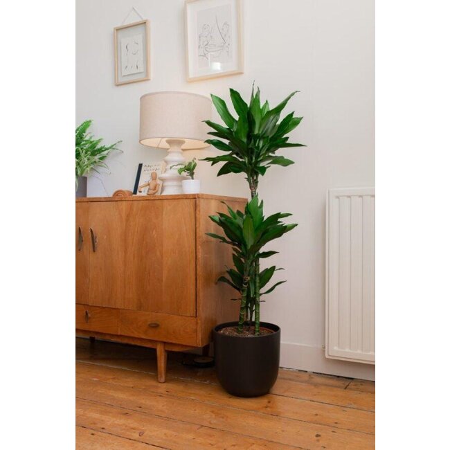 Pot - Boule - Ø28cm - Antraciet - Ø28cm