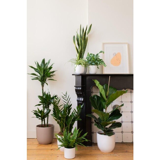 Pot - Boule - Ø28cm - Taupe - Ø28cm