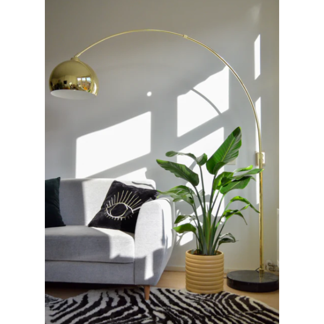 Strelitzia Nicolai - Ø24cm - ↕120cm