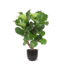 Ficus Lyrata (vertakt) Ø24cm ↕110cm in Boule ANTRACIET pot