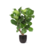 Ficus Lyrata (Vertakt) Ø27cm ↕130cm in Boule ANTRACIET pot