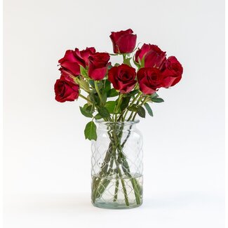 Letterbox Roses Bordeaux | 35cm length
