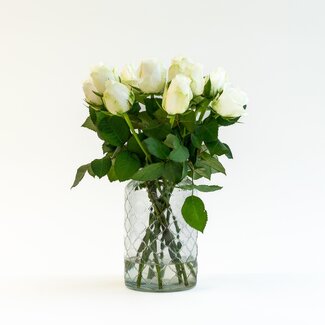 Letterbox Roses White | 35cm length