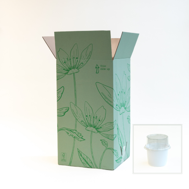 Bouquet Blue Monday X Rituals Ayurveda Foaming Showerge