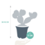 Opuntia microdasys