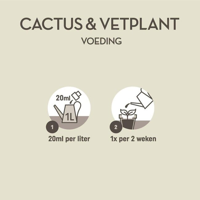 Pokon cactus & vetplant