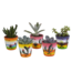 Vetplanten mix 5.5 cm - 5x - in Mexicaanse pot