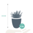 Vetplanten mix 5.5 cm - 5x - in witte pot