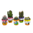 Cactus mix 5.5 cm - 5x - in Mexicaanse pot