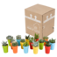 Cactus en vetplanten mix 5.5 cm | 15 stuks - in gekleurde plasticpot