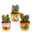 Cereus mix 10,5cm - 3x - in Mexicaanse pot