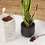 Plant Nourishment - 1000 ml - SOIL BOOSTER | ORGANIC FERTILISER
