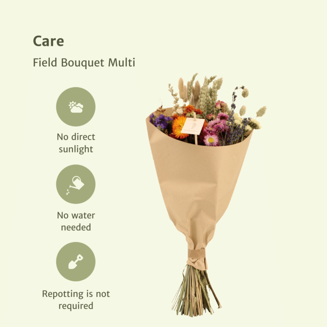 Droogbloemen Field Bouquet Multi - Ø20 - ↨50cm