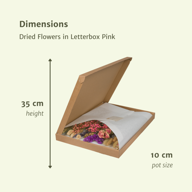 Droogbloemen in Letterbox Multi
