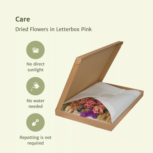 Droogbloemen in Letterbox Multi
