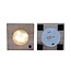Clusia in Samoa glas met LED verlichting - Ø4cm - ↕10cm