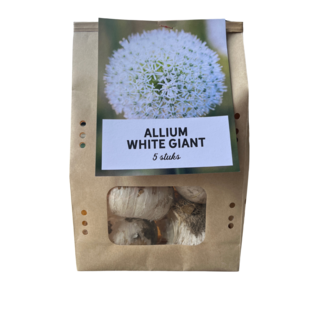 White Giant - Allium bollen 5 stuks