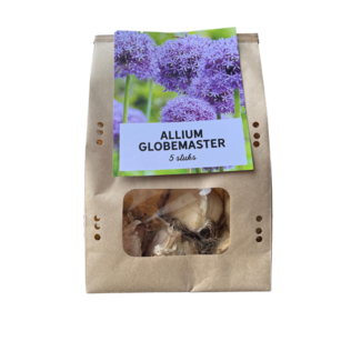 Globemaster - Allium bollen 5 stuks