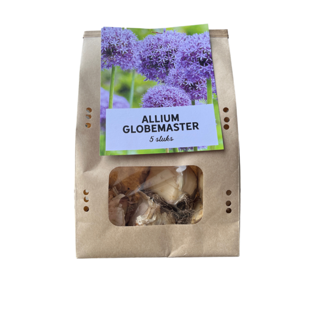 Globemaster - Allium bollen 5 stuks