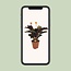 Calathea Crocata - Ø14cm - ↕40cm
