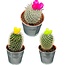 Cactus mix kunstbloemen- 8.5cmØ- ↕️10-15cm- 3 stuks - zink