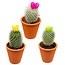 Cactus mix kunstbloemen- 8.5cmØ- ↕️10-15cm- 3 stuks - Terracotta